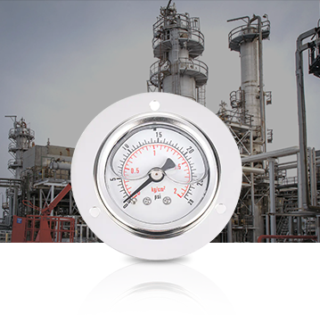 Petrokimya endüstrisi Pressure Gauges